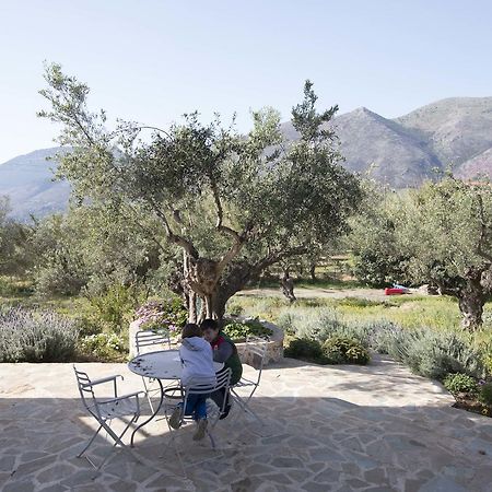 Kavoulakos Studios Skoutarion Bagian luar foto