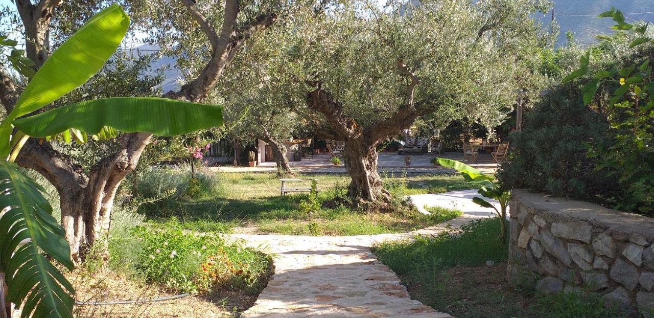 Kavoulakos Studios Skoutarion Bagian luar foto