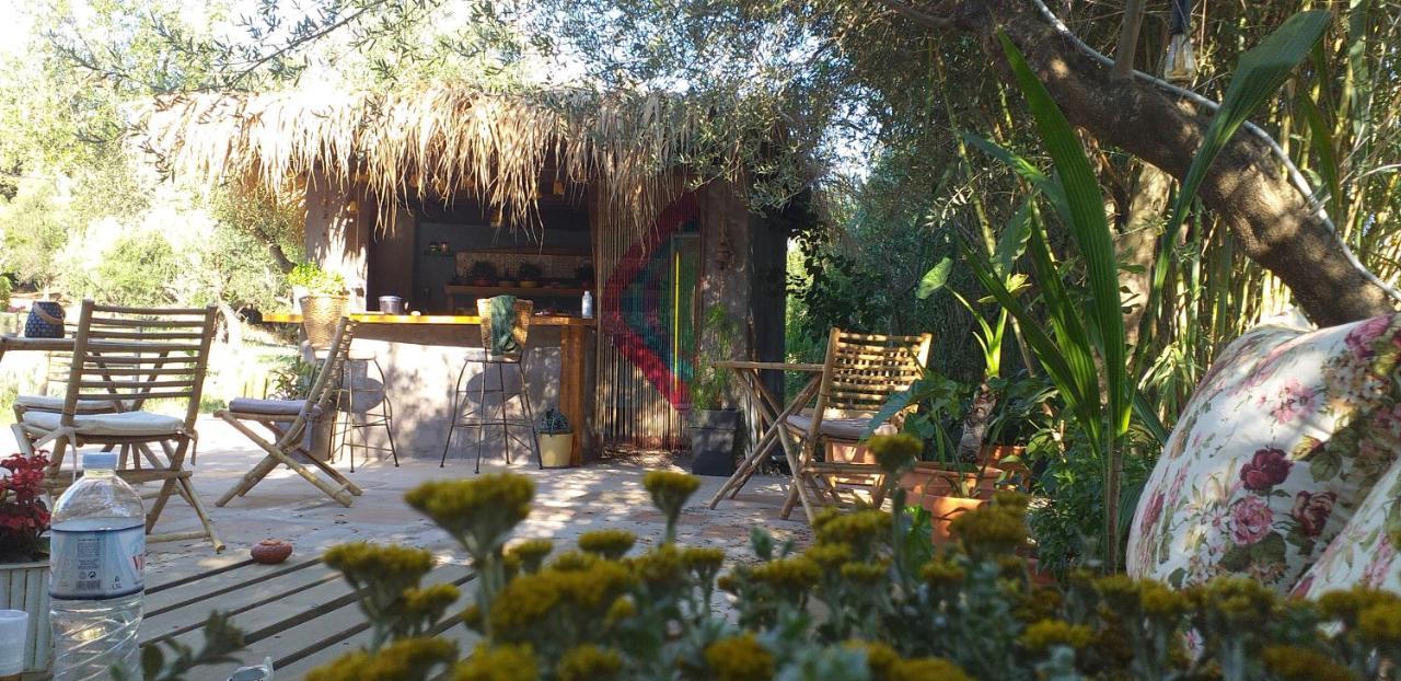 Kavoulakos Studios Skoutarion Bagian luar foto